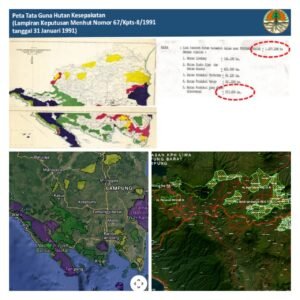 Foto kawasan hutan dari tahun 1991 - 2021