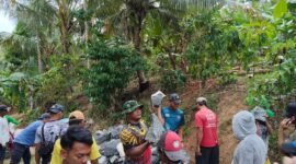 Akses Makin Mudah, TMMD KE-124 Kodim 0422/LB Bangun Jalan Di Pekon Pemerihan
