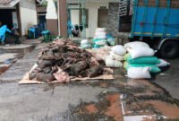 Siasat Rapi Gagal Total, 2,9 Ton Daging Celeng Tertangkap Di Pelabuhan Merak