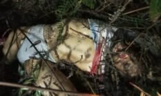 Warga Pemalang Tewas Tragis Diduga Dimangsa Harimau di Perbatasan TNBBS Lampung Barat