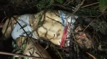 Warga Pemalang Tewas Tragis Diduga Dimangsa Harimau di Perbatasan TNBBS Lampung Barat