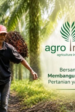 Solusi di Tengah Resah B50: Saatnya Menggagas Kebun Sawit Energi